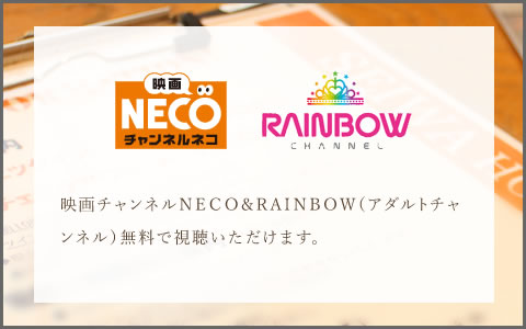 映画チャンネルNECO＆RAINBOW(アダルトチャンネル)無料で視聴いただけます。